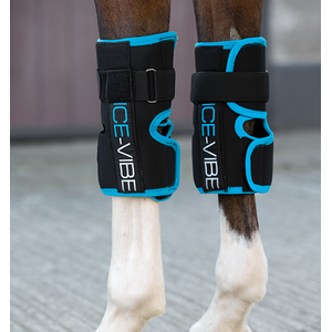 Horseware Ice Vibe polvisuoja