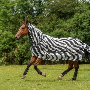 Bucas Buzz-Off Zebra Full Neck hyönteisloimi