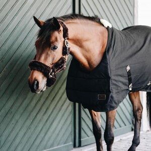Kentucky BIB Summer loimen etuosan pehmuste