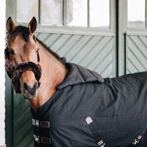 Kentucky BIB Summer loimen etuosan pehmuste
