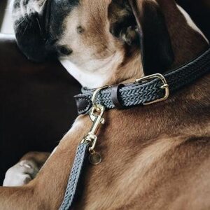 Kentucky Plaited Nylon koiran talutushihna