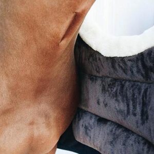 Kentucky BIB Winter loimen etuosan karvapehmuste