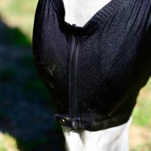 Kentucky Slim Fit ötökkähuppu