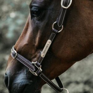 Kentucky Flexible nahkariimu