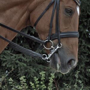Sprenger Special Dressage aurigan kankikuolain