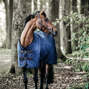 Kentucky Stable talliloimi 0g