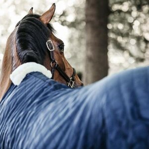 Kentucky Stable talliloimi 0g