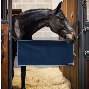 Equiline ovivahti