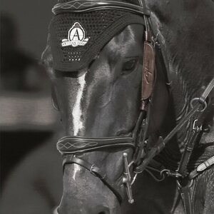 Dy'on Fokus Blinkers