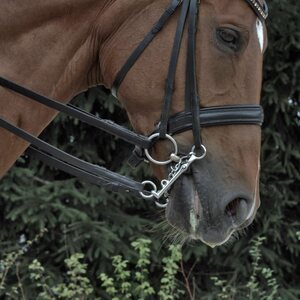 Sprenger KK Ultra Aurigan bridong nivelkuolain