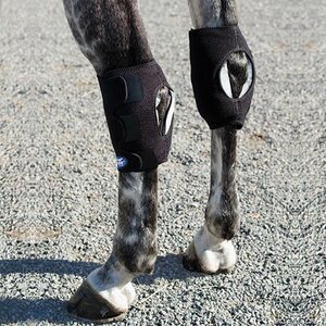 Ice Horse Hock Wraps kylmäyssuojat pari