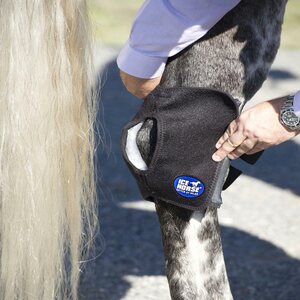 Ice Horse Hock Wraps kylmäyssuojat pari
