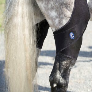 Ice Horse Stifle Wraps takapolvien kylmäyssuoja