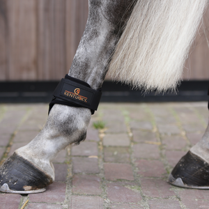 Kentucky Young Horse Fetlock hivutussuojat