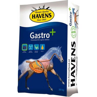 Havens Gastro+ 20kg