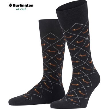Burlington Miesten mäyräkoira sukat
