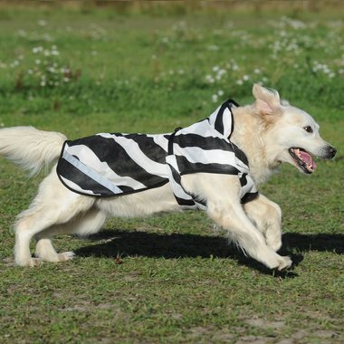 Bucas Buzz-Off Zebra koiraloimi, Zebra, 30