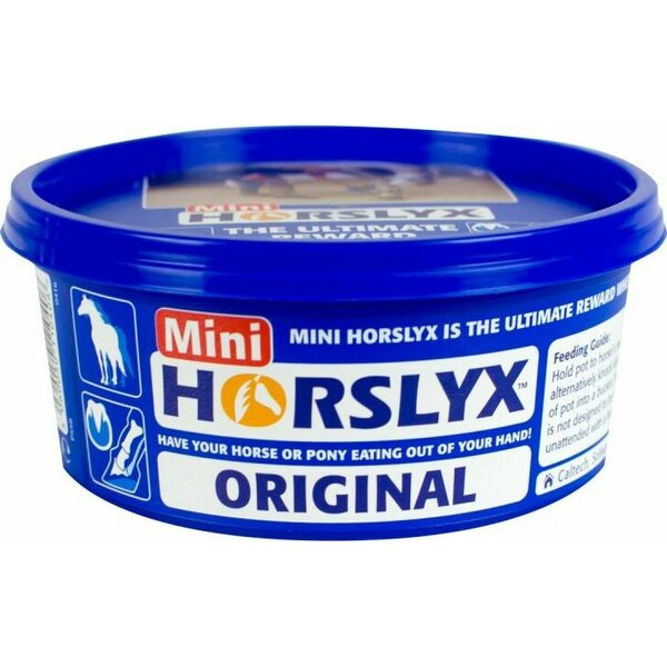 Horslyx Mini nuolukivi