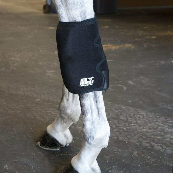 Ice Horse Knee Wraps kylmäyssuojat, pari