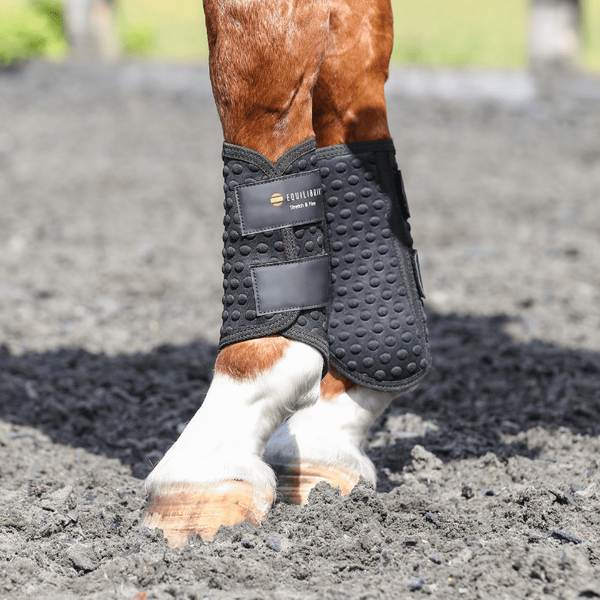 Equilibrium Stretch & Flex Flatwork suojat