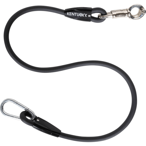 Kentucky Silicone trailerinaru