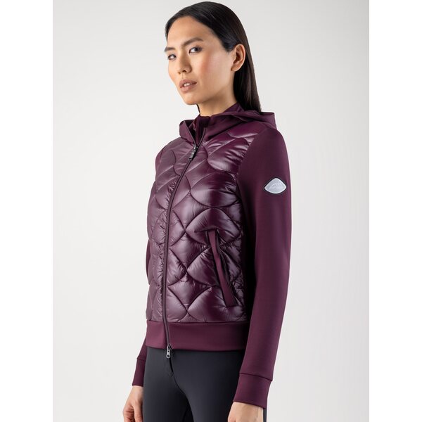 Equiline Gotel hybriditakki