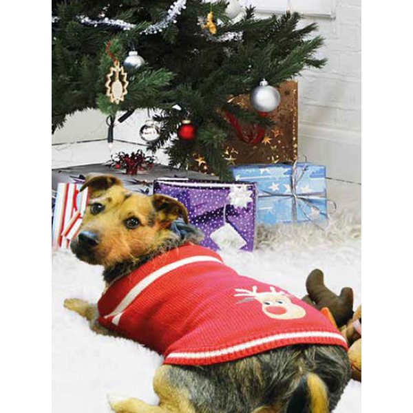 Happypet Cosy Christmas koiran jouluneule