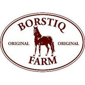 Borstiq