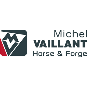 Michel Vaillant