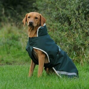 Dog coats