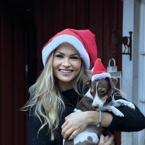 Ratsastajan joulutuotteet