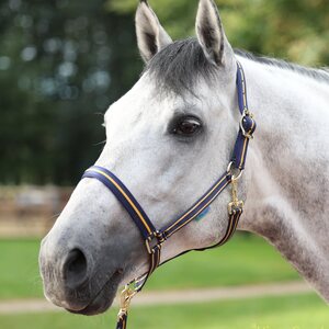 Halters