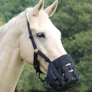 Muzzles