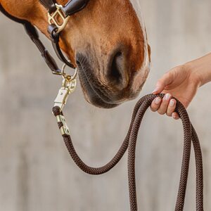 Lead ropes