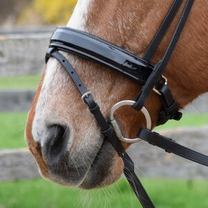 Nose bands