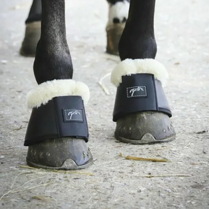 Bootsit
