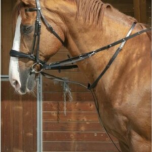 Side reins
