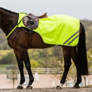 Heijastimet hevoselle