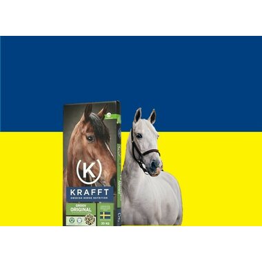 Auta Ukrainalaisia hevosia