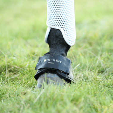 Karvattomat bootsit